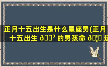 正月十五出生是什么星座男(正月十五出生 🌳 的男孩命 🦊 运)